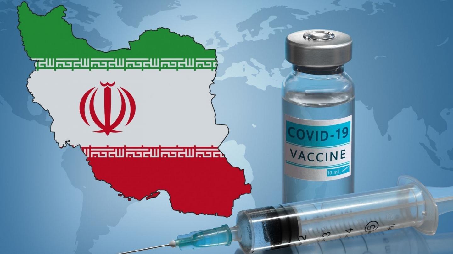 سهم واکسن برکت در واردات واکسن خارجی
