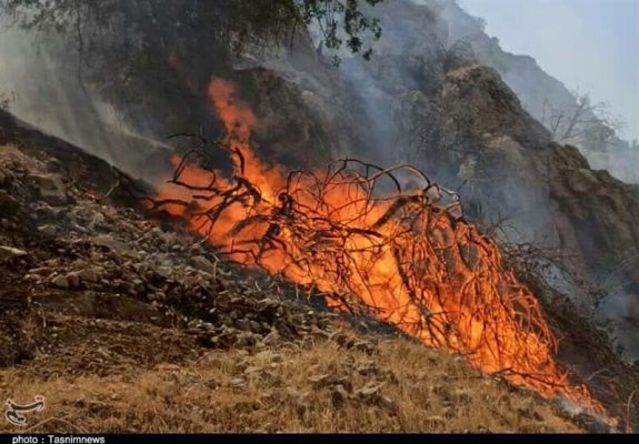 یگان حفاظت منابع طبیعی گیلان ادعای سوزندان درختان “جنگل توشی سیاهکل” را تکذیب کرد