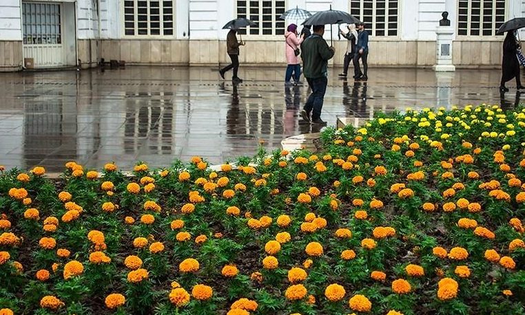 گزارش به همراه عکس از بارش باران بهاری در شهر رشت (عکس خبری)