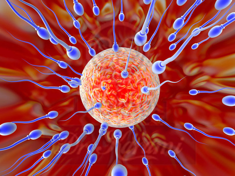 رمزگشایی از حرکت اسپرم؛ میکروارگانیسم‌هایی که قانون سوم نیوتن را نقض می‌کنند