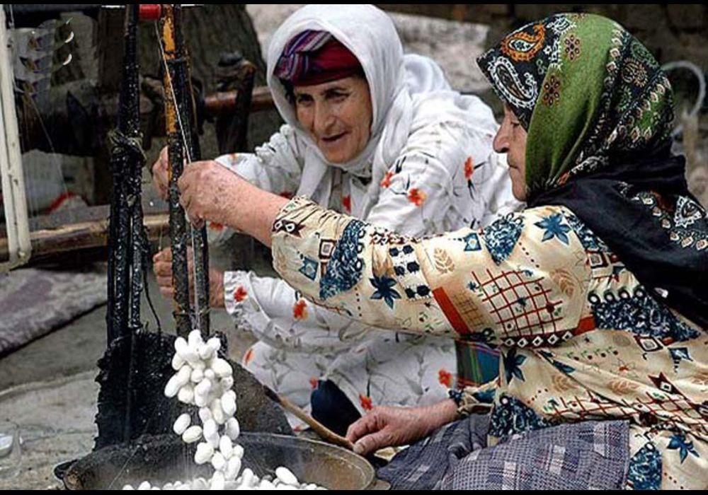نوغان داری در گیلان؛ صنعتی فراموش شده یا فرصت اقتصادی؟