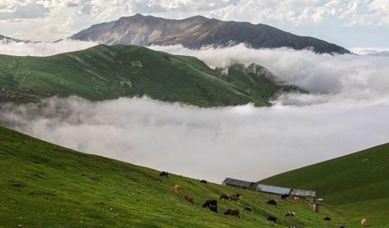 اخبار گیلان:گیلان به عنوان استان پایلوت کشور