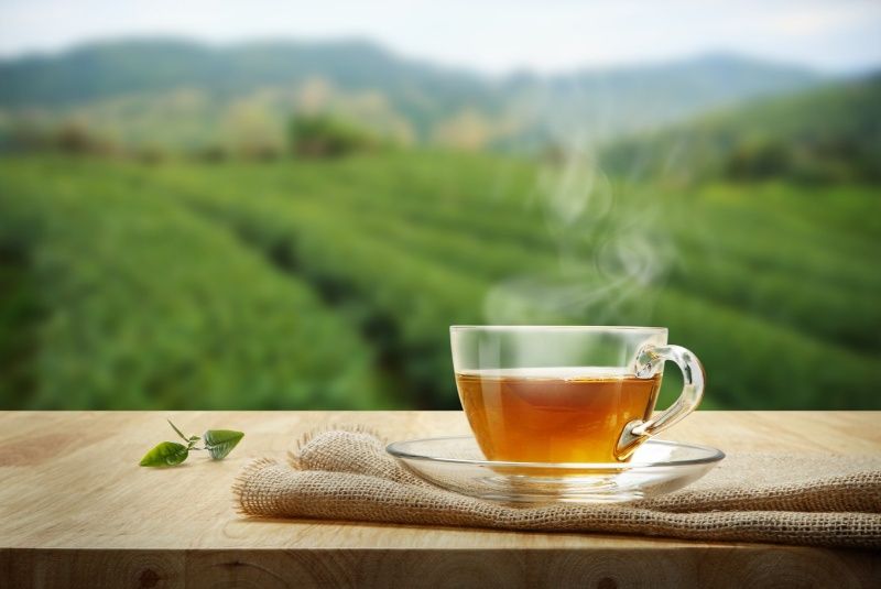بخشودگی معوقه کارخانه‌های چای شمال کشور